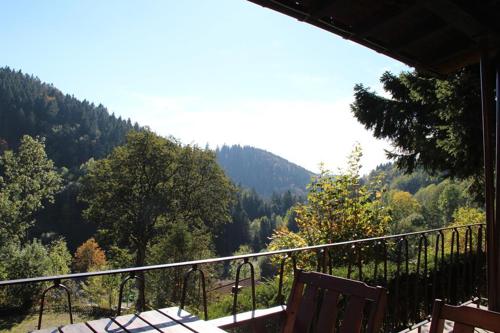 Schöne Aussicht Sankt Andreasberg Exterior foto